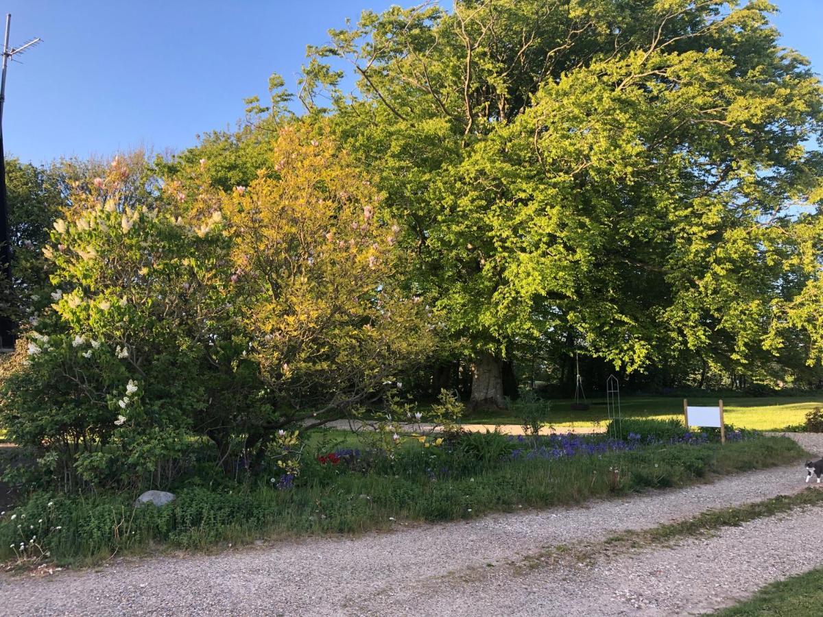 Landevejens B&B Holstebro Luaran gambar